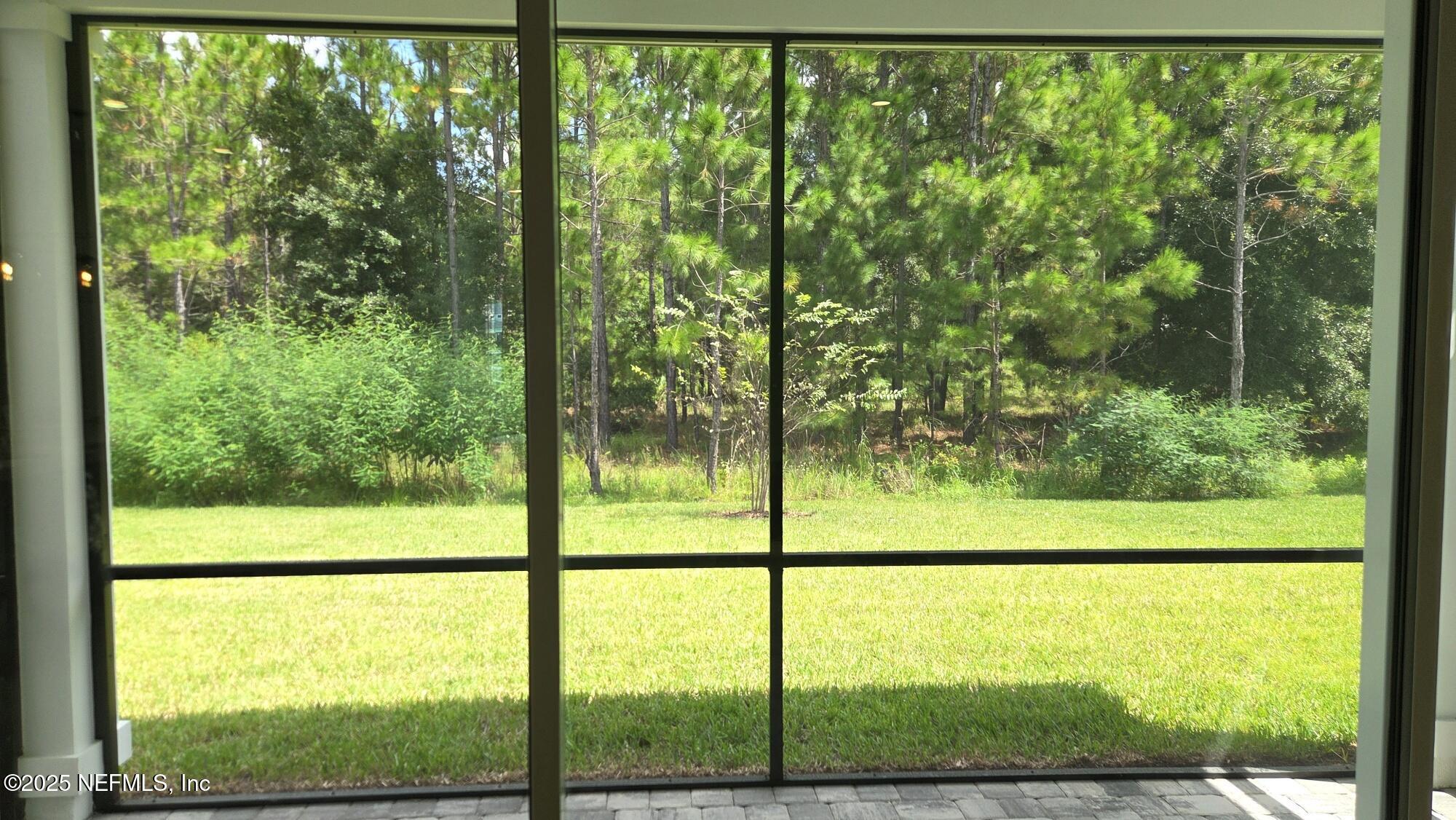 255 Sapling Terrace St. Johns, FL 32259 - Photo 19 of 44 Backyard w Screened Lanai