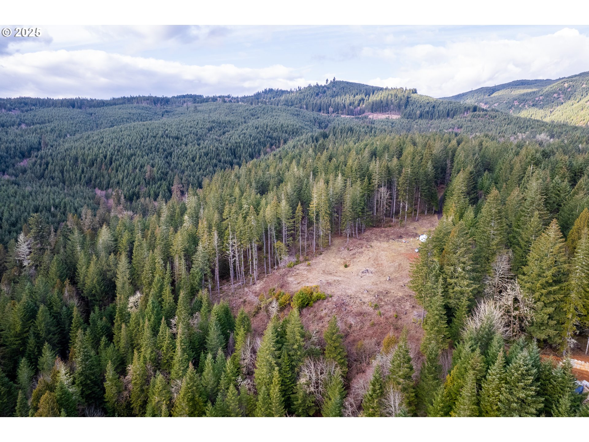 907 Southwest Tanner Creek Road Gaston, OR 97119 - Photo 10 of 15 Gallery Image 10