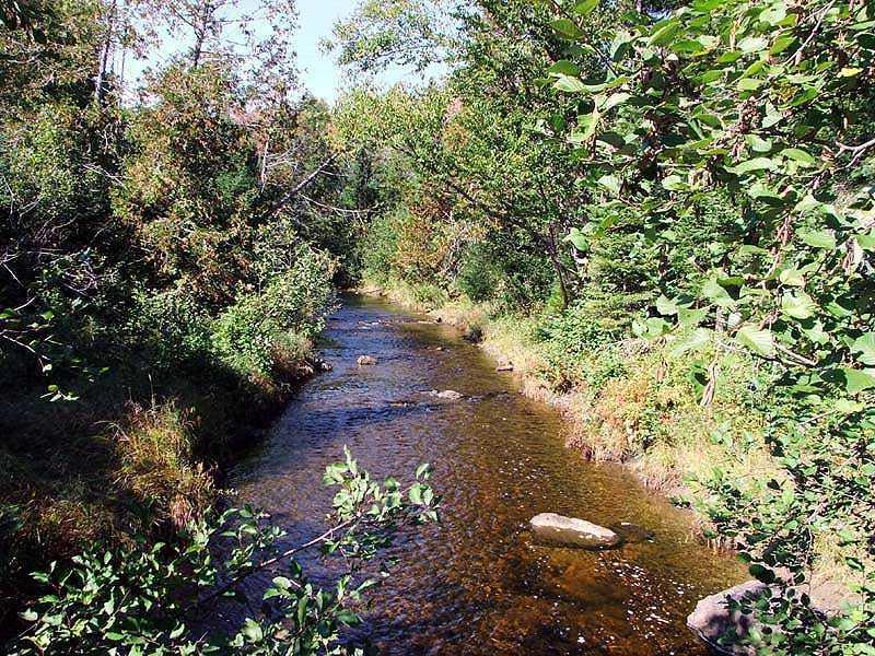 418 Hemore Road Ludlow, ME 04730 - Photo 14 of 35 Land.