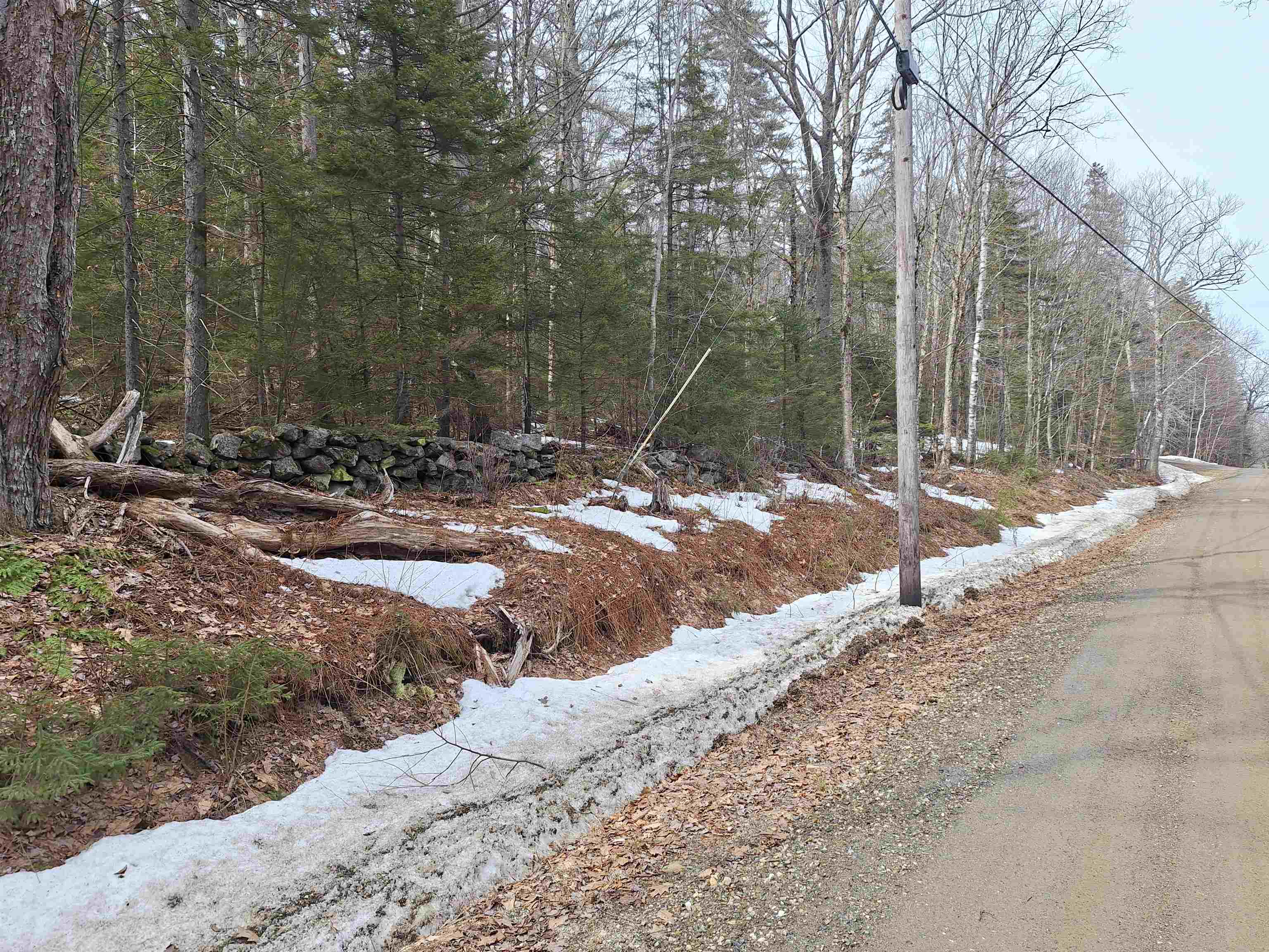 0 Rogers Road Alstead, NH 03602 - Photo 2 of 5 Gallery Image 2