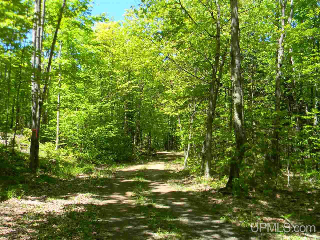 Tbd Rauhala Road, Unit LOT 4 COLES CREEK SUBDIV Atlantic Mine, MI 49931 - Photo 6 of 13