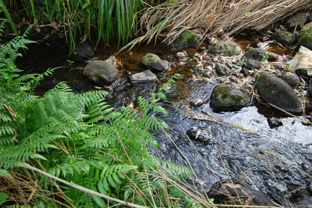 $4,256,000 | 28-1187 Old Mamalahoa Highway, Honomu, HI 96728