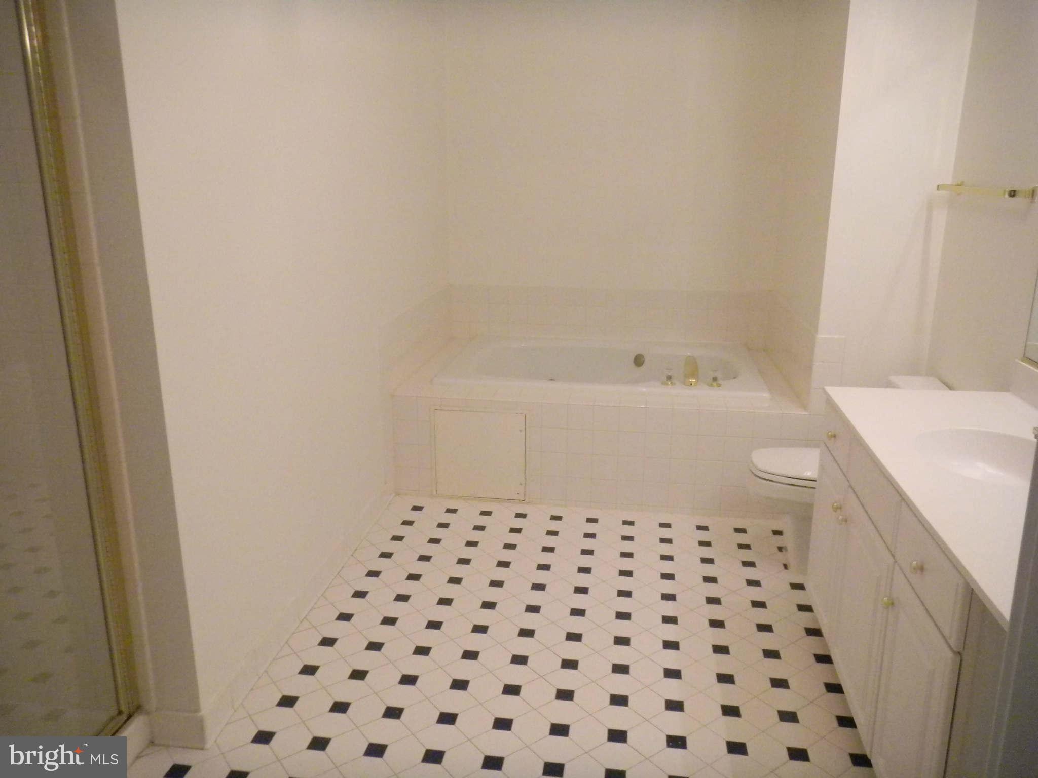 11409 Hollow Timber Way Reston, VA 20194 - Photo 14 of 21 Bath (Master)