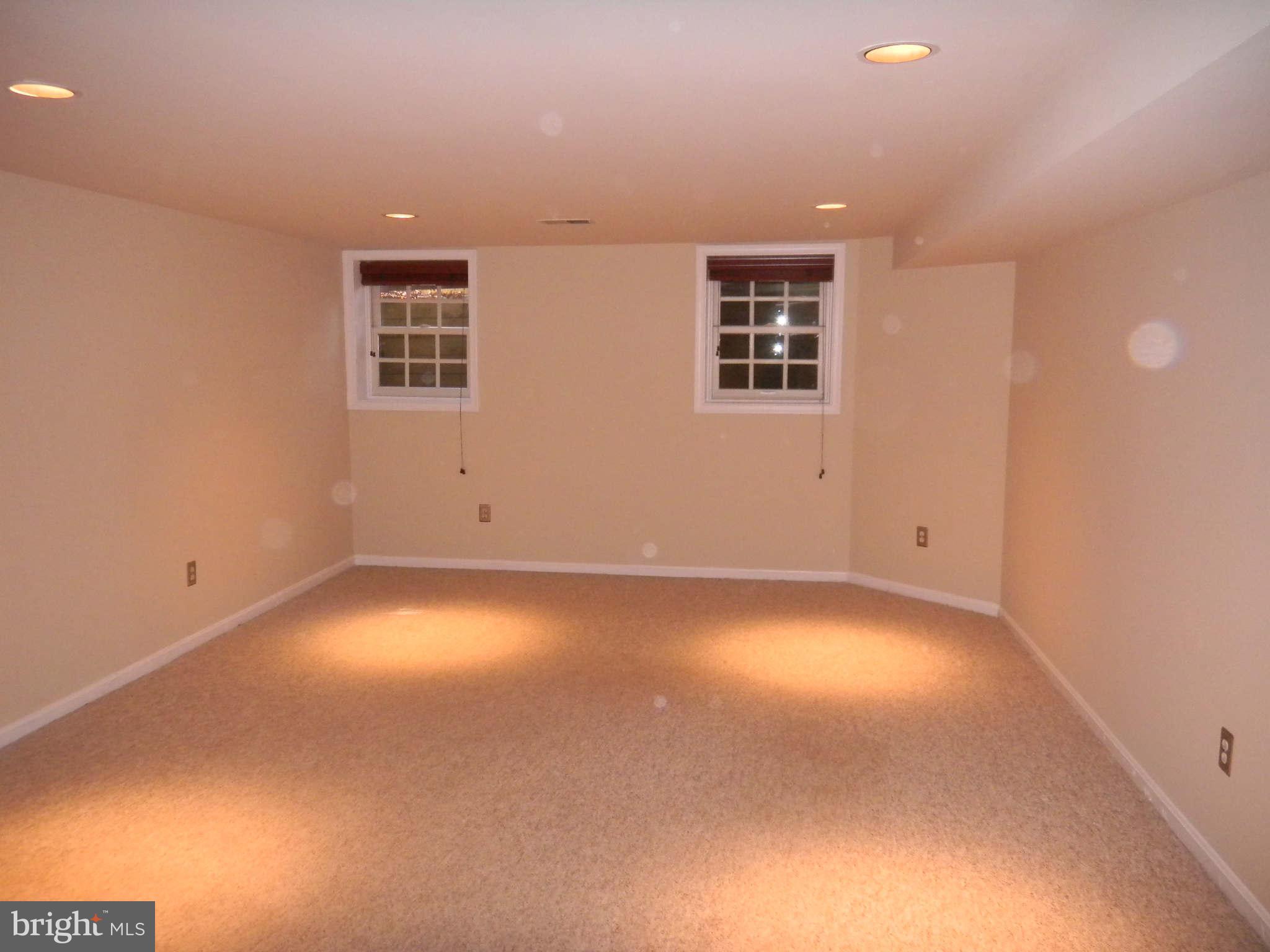 11409 Hollow Timber Way Reston, VA 20194 - Photo 17 of 21 Basement