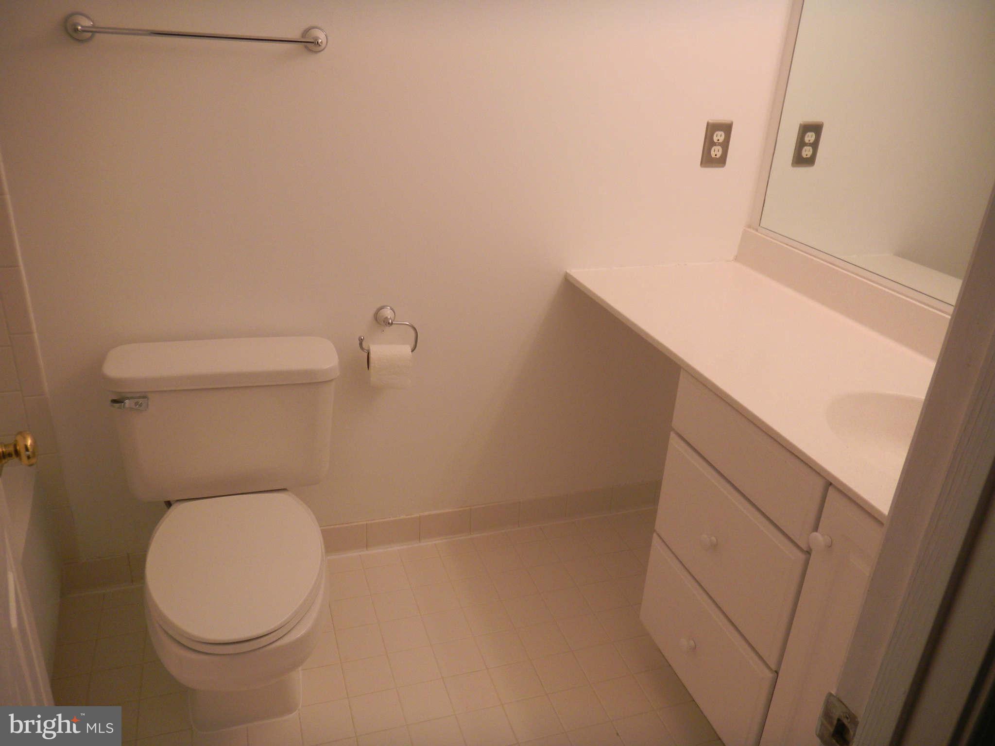 11409 Hollow Timber Way Reston, VA 20194 - Photo 19 of 21 Bath