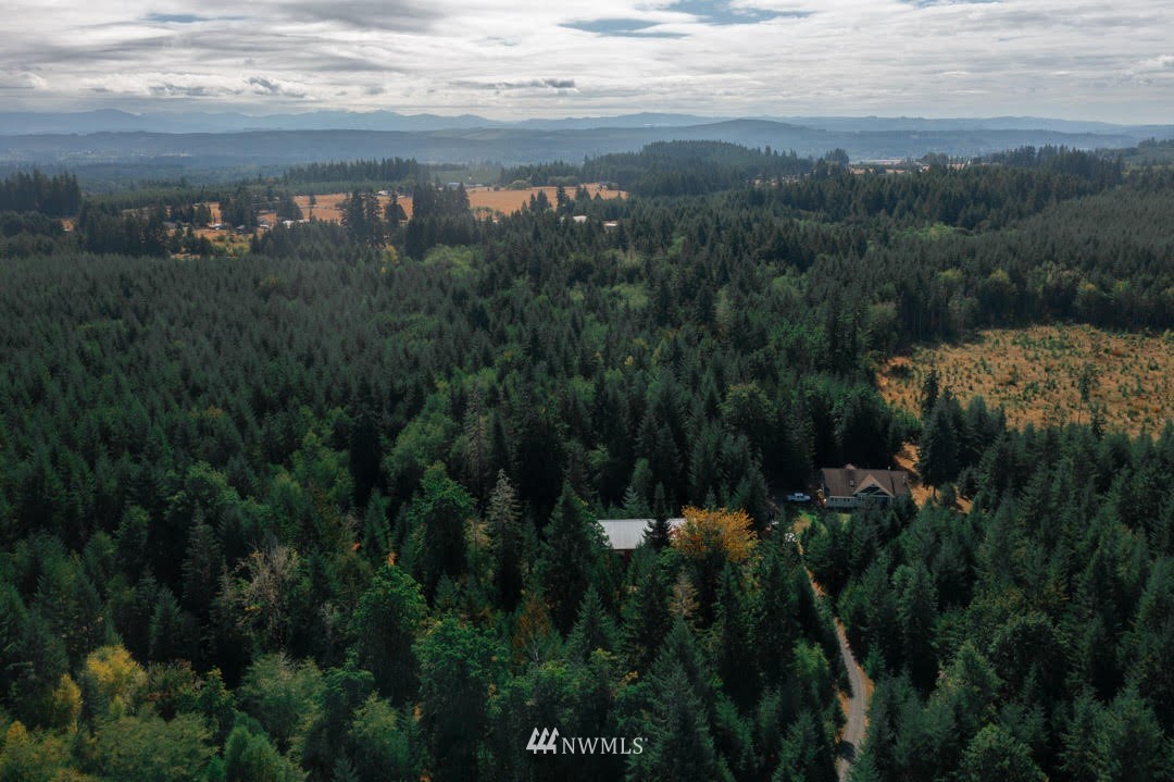259 Finn Hill Road Winlock, WA 98596 - Photo 4 of 24 Gallery Image 4