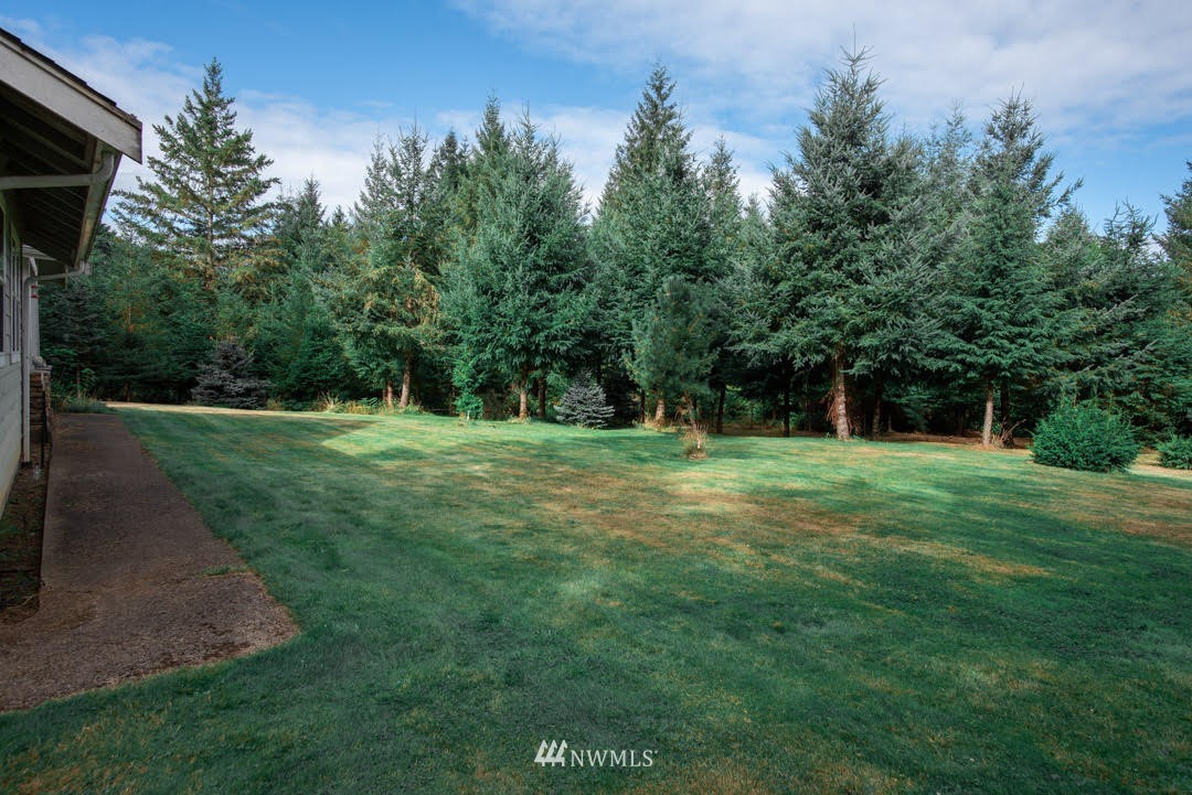 259 Finn Hill Road Winlock, WA 98596 - Photo 8 of 24 Gallery Image 8