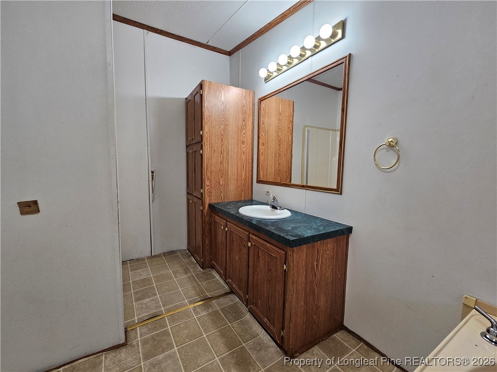 21981 McIntosh Road Wagram, NC 28396 - Photo 13 of 23 a bathroom with a sink and a mirror