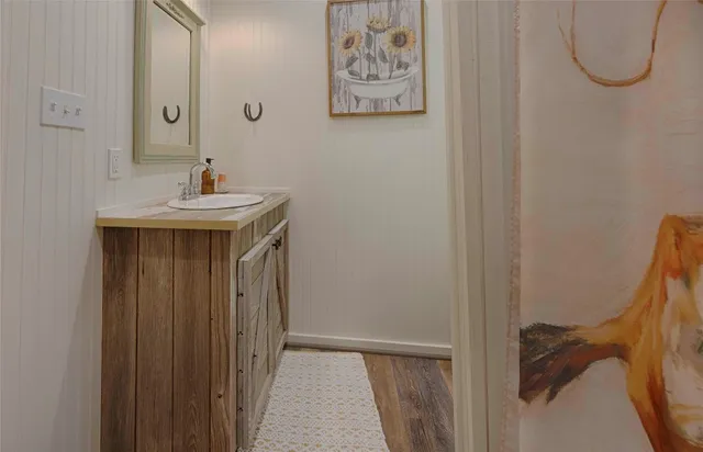 a view of a forest with trees in the background