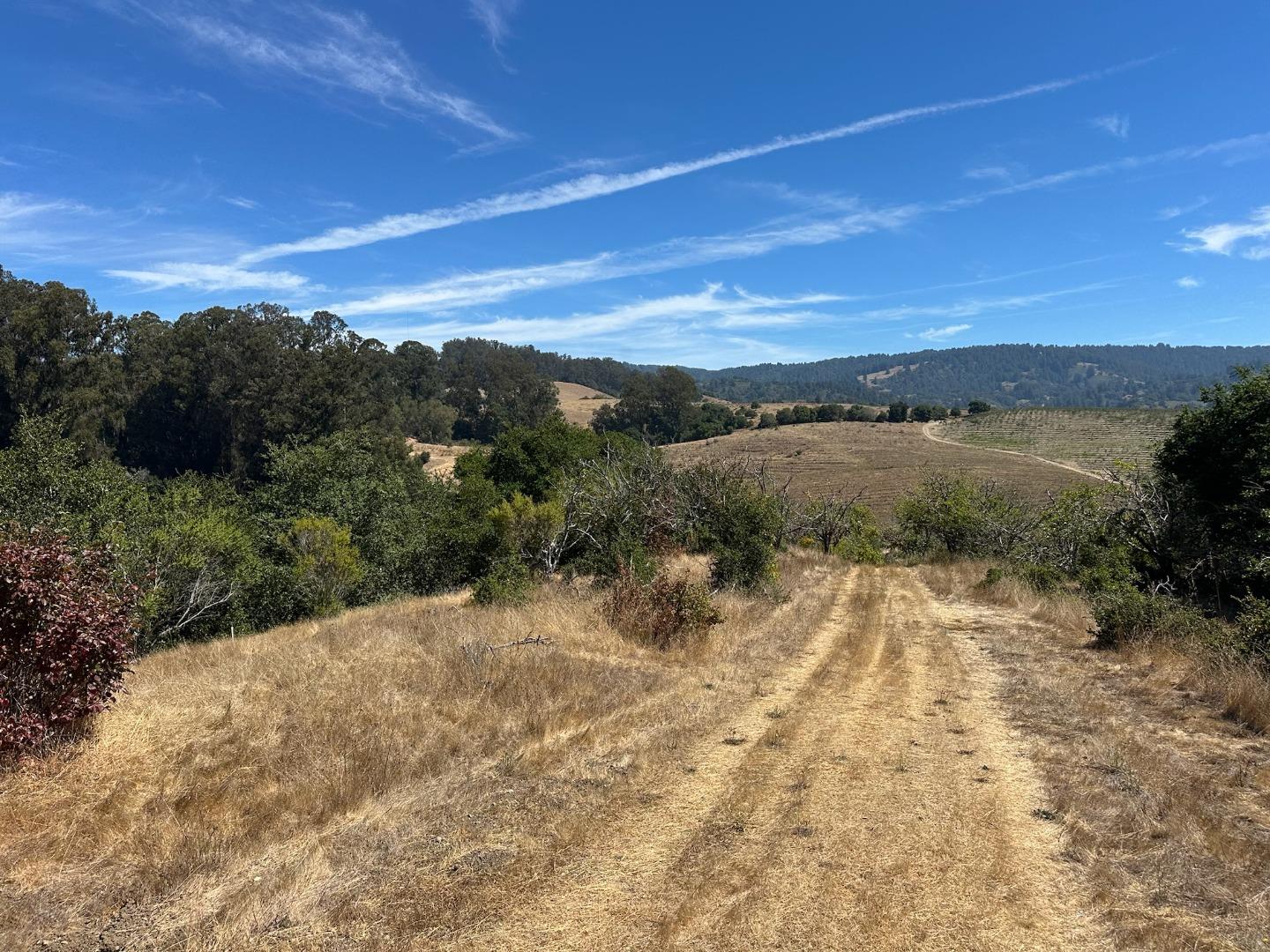 0 Sans Road Watsonville, CA 95076 - Photo 23 of 40