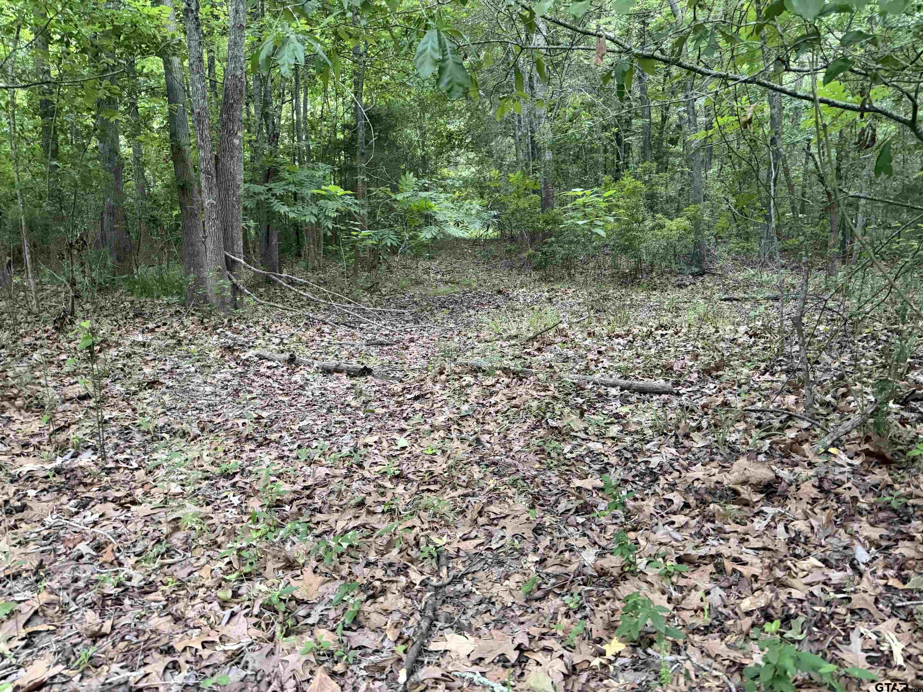 1204 County Road 1204 Rusk, TX 75785 - Photo 5 of 15