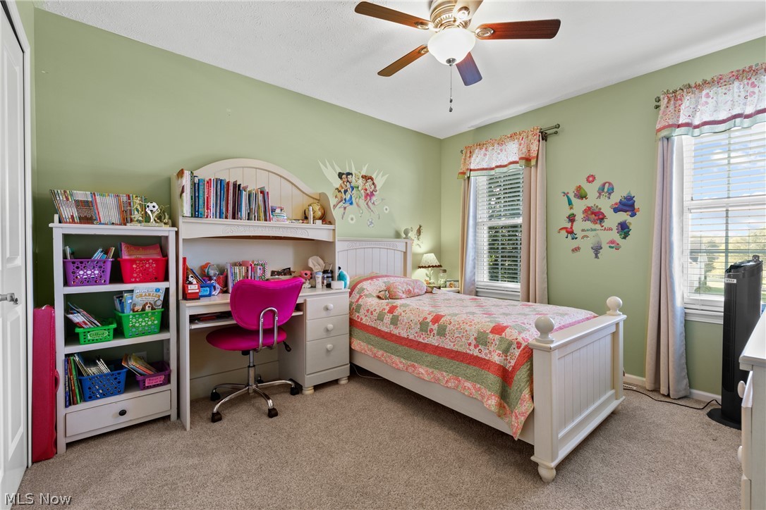 3967 Logans Way Perry, OH 44081 - Photo 22 of 35 Gallery Image 22