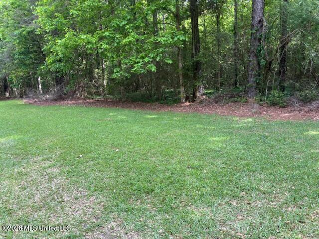 37 Adron Boyd Road Tylertown, MS 39667 - Photo 53 of 60 IMG_8057