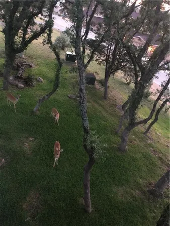 $1,000 | 943 Parkview Drive, Unit C6, Canyon Lake, TX 78133