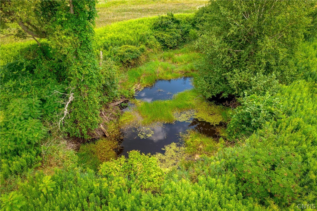 348 Hadley Road Sandy Creek, NY 13145 - Photo 11 of 39