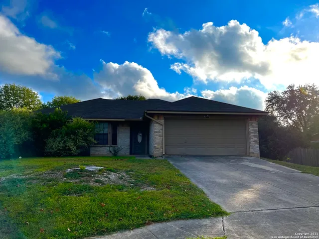 a view of a yard with a large tree