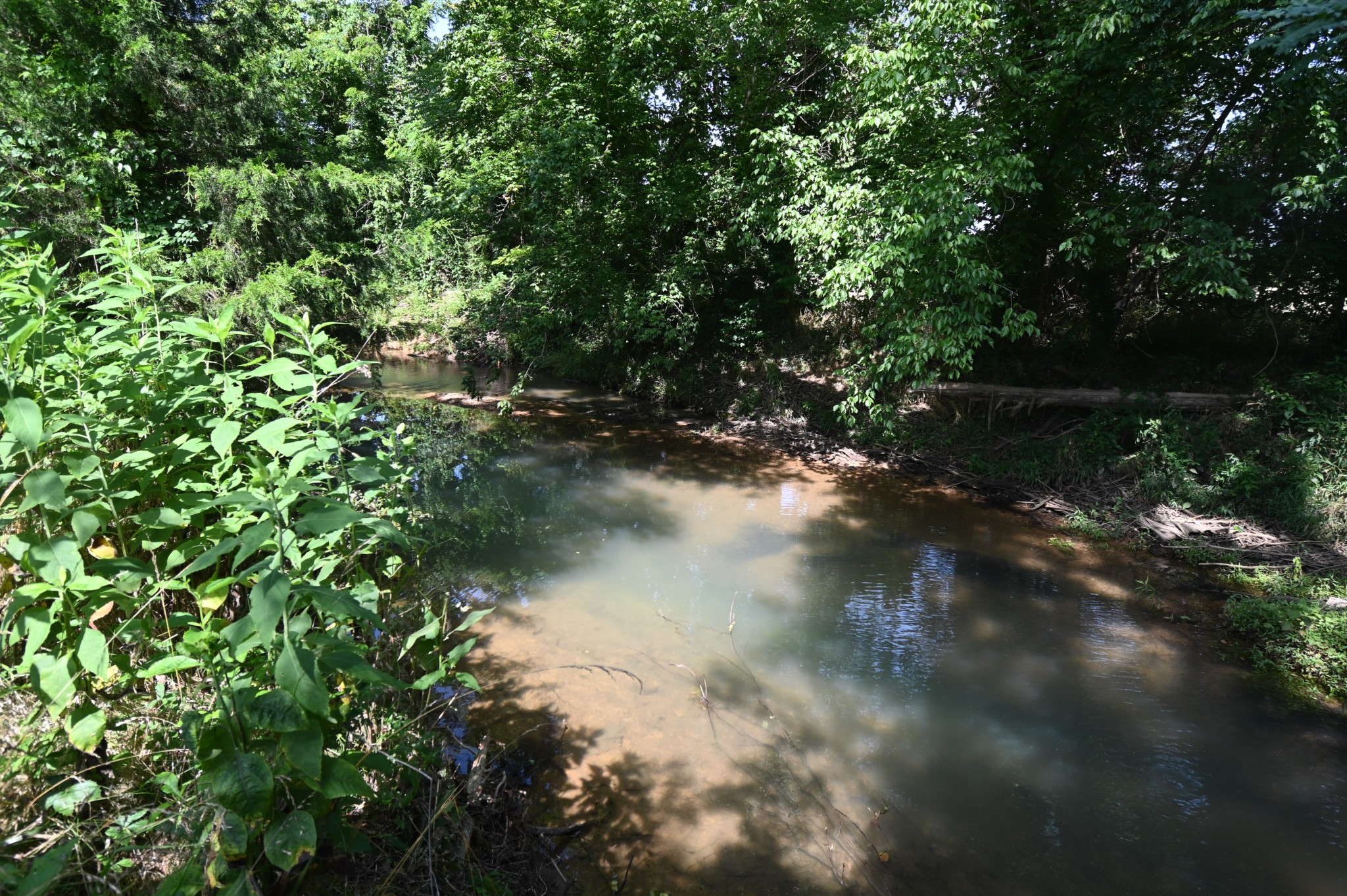 0 Culps Bend Road Clifton, TN 38425 - Photo 35 of 41