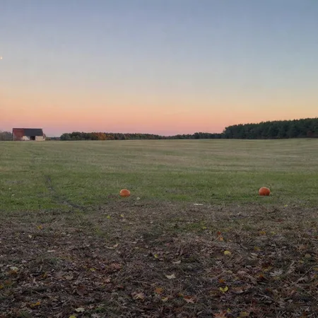 $420,000 | 11661 75th Avenue, Mecosta, MI 49332