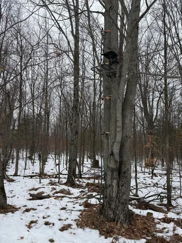 $448,000 | 11661 75th Avenue, Mecosta, MI 49332