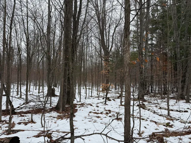 $448,000 | 11661 75th Avenue, Mecosta, MI 49332