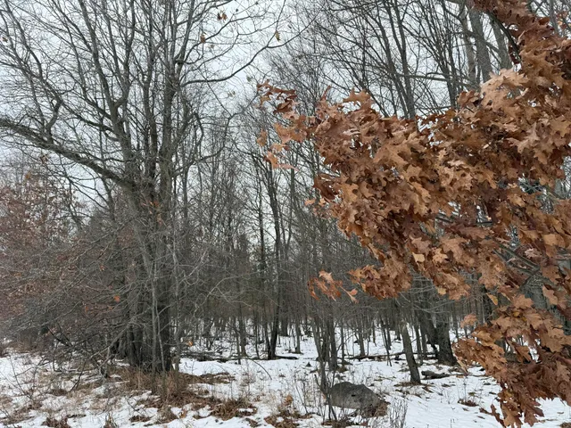 $448,000 | 11661 75th Avenue, Mecosta, MI 49332