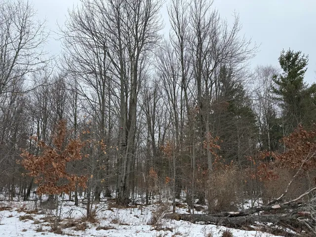 $448,000 | 11661 75th Avenue, Mecosta, MI 49332