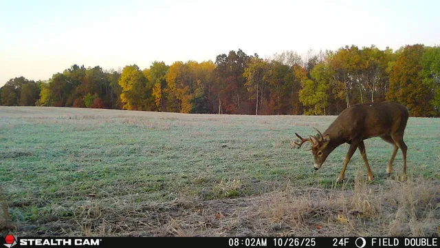 $448,000 | 11661 75th Avenue, Mecosta, MI 49332