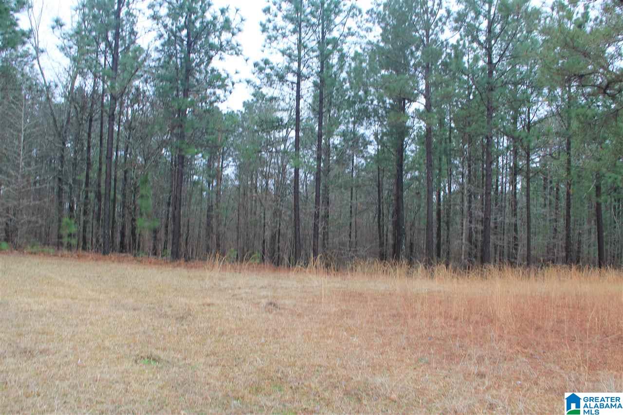 1910 Feddisburg Road Alpine, AL 35014 - Photo 5 of 7
