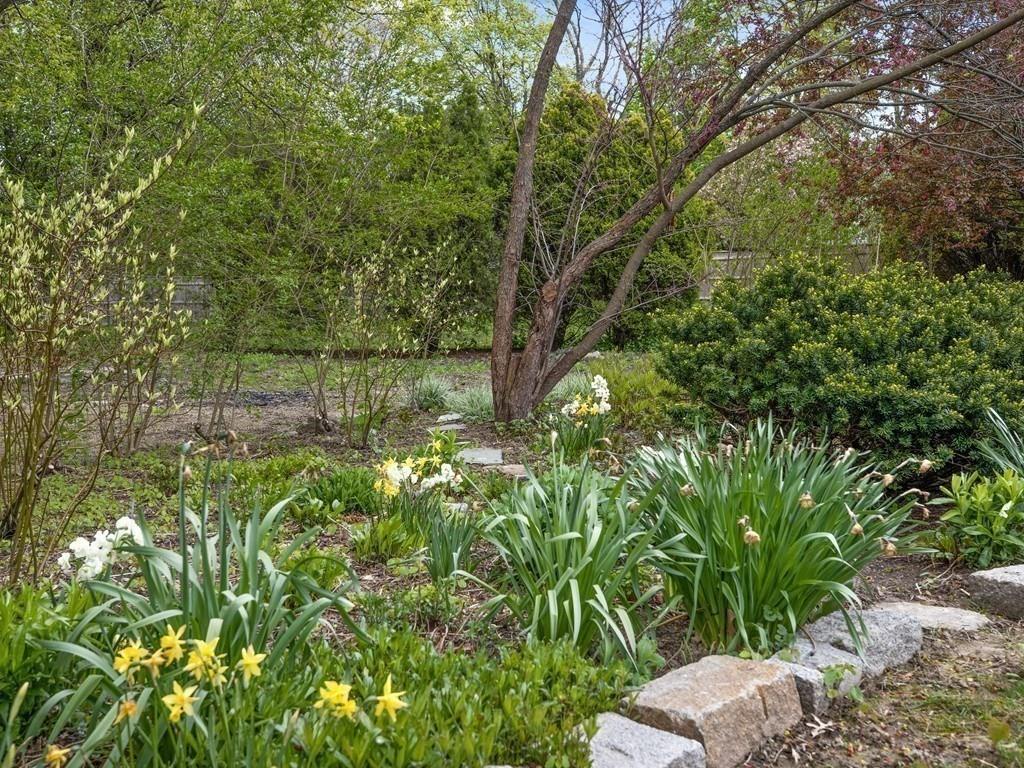 41 Lila Road Boston, MA 02130 - Photo 31 of 39 a view of a garden with plants