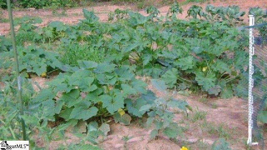 372 Deer Creek Road Easley, SC 29640 - Photo 31 of 36