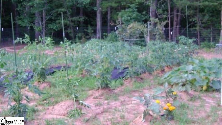 372 Deer Creek Road Easley, SC 29640 - Photo 33 of 36