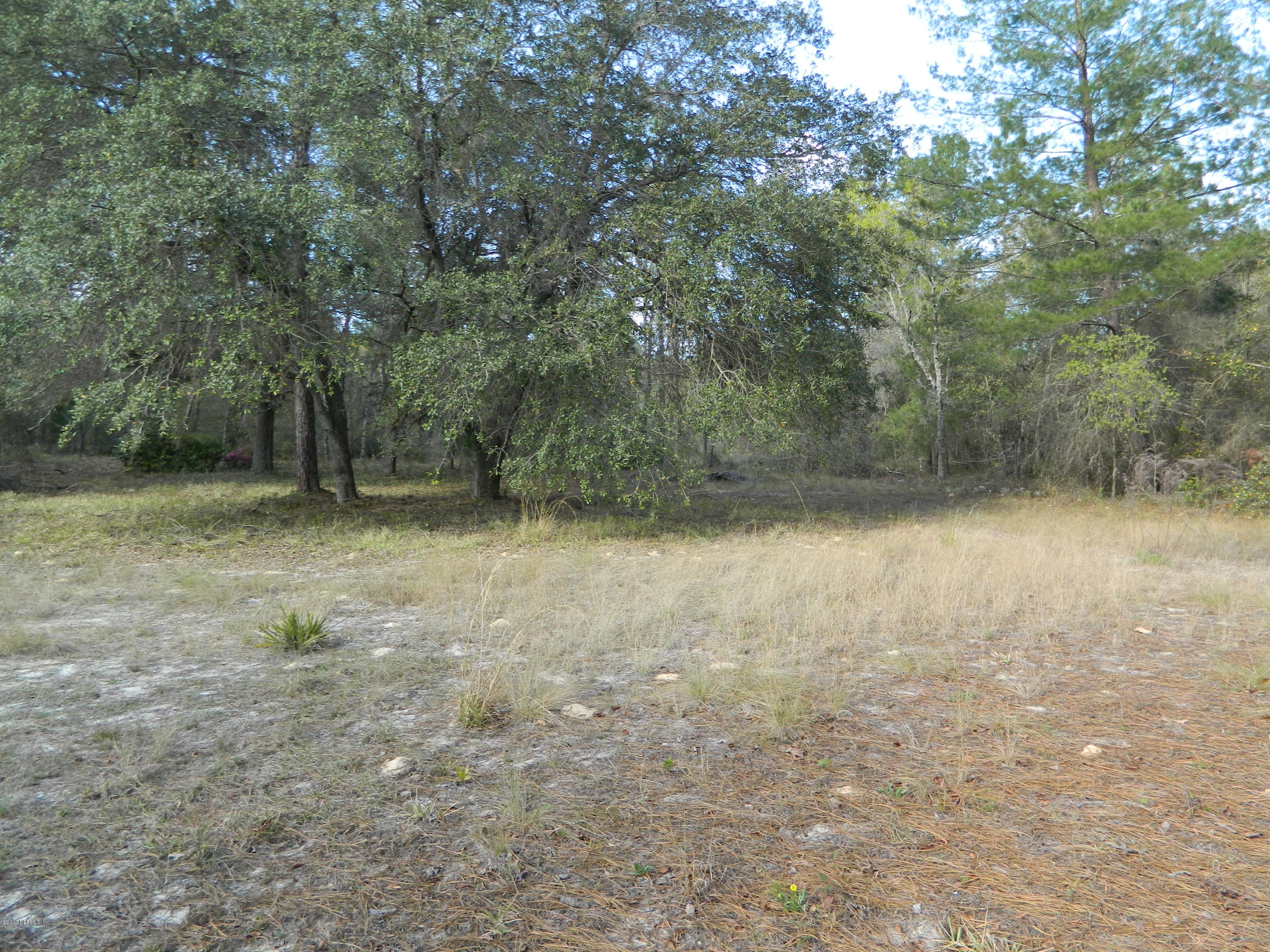 8261 Forest Hills Road Melrose, FL 32666 - Photo 17 of 19 DSCN1714