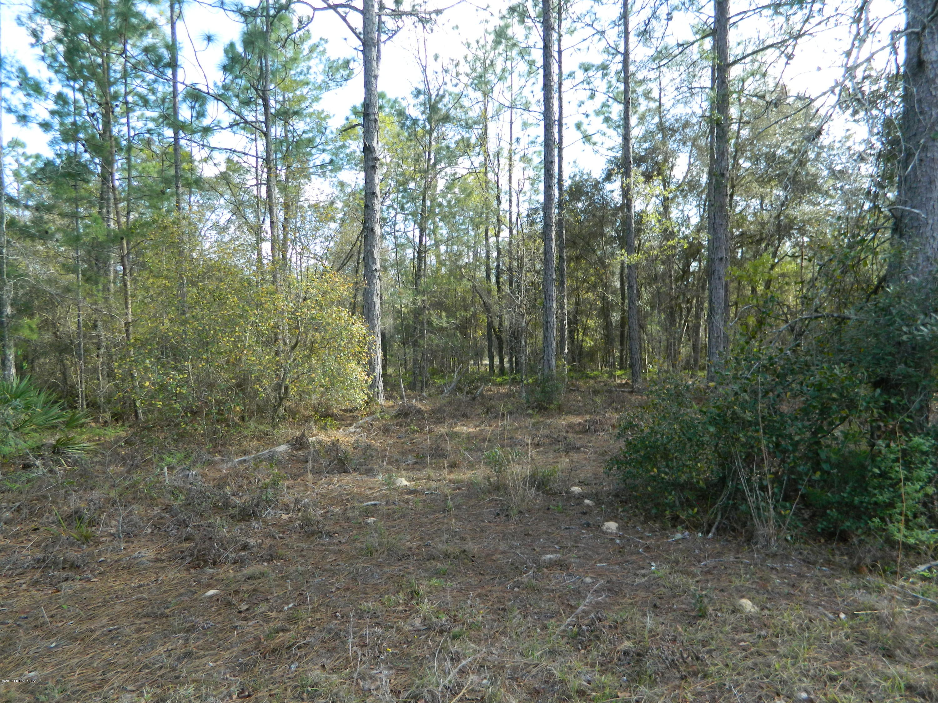 8261 Forest Hills Road Melrose, FL 32666 - Photo 18 of 19 DSCN1715