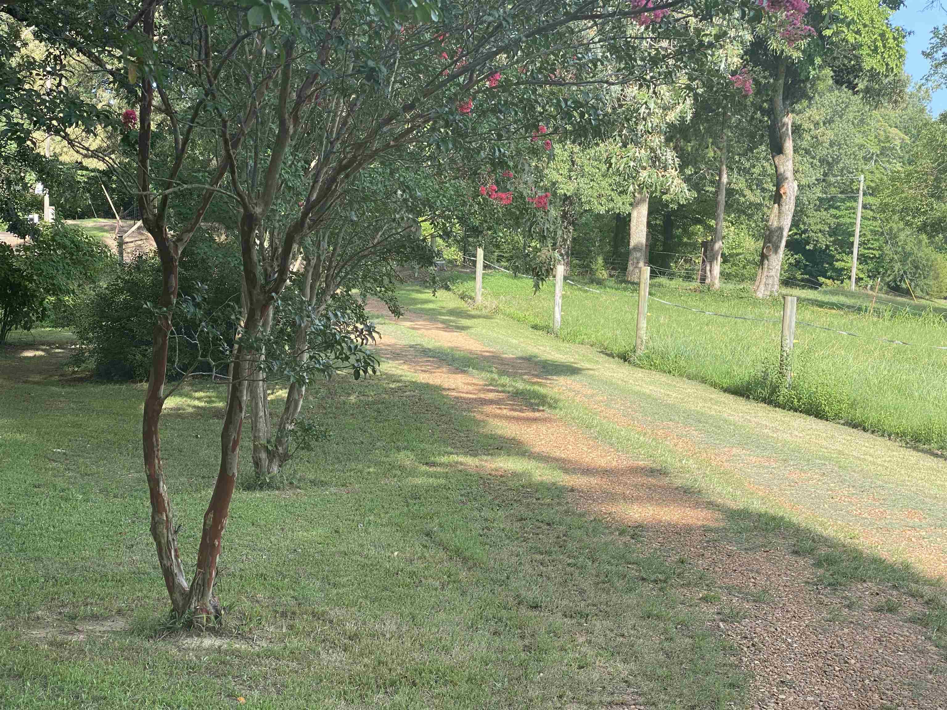 2461 Holly Grove Road Covington, TN 38019 - Photo 5 of 25 Gallery Image 5