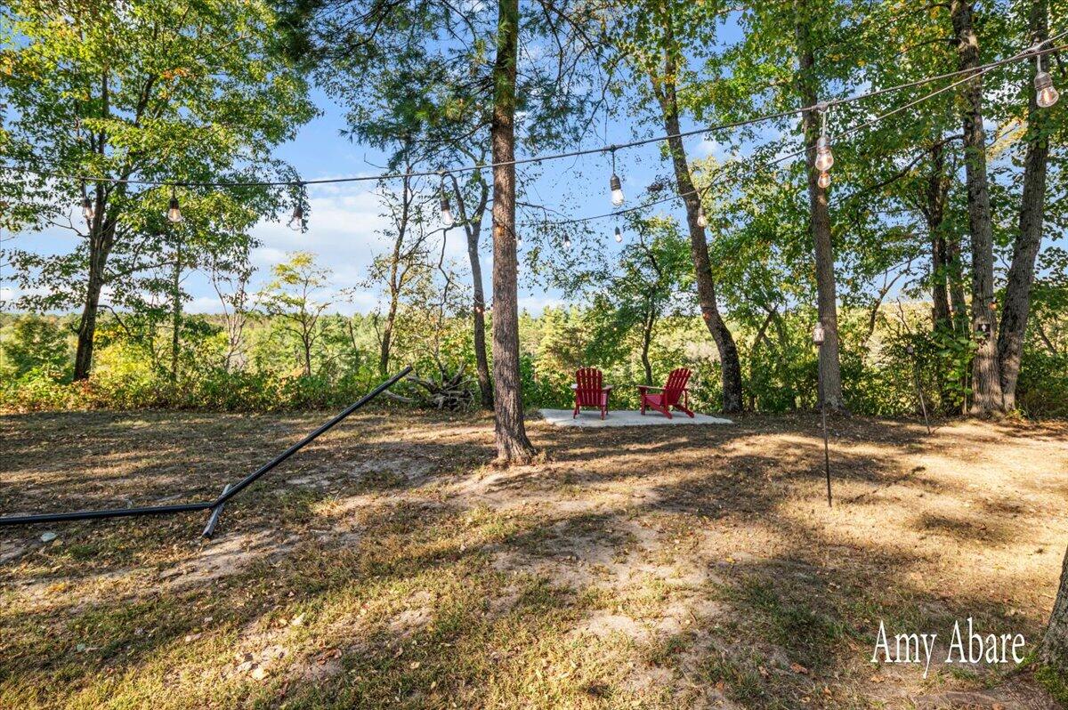 19768 Lincoln Road Stanwood, MI 49346 - Photo 18 of 21 48-DSC_6302