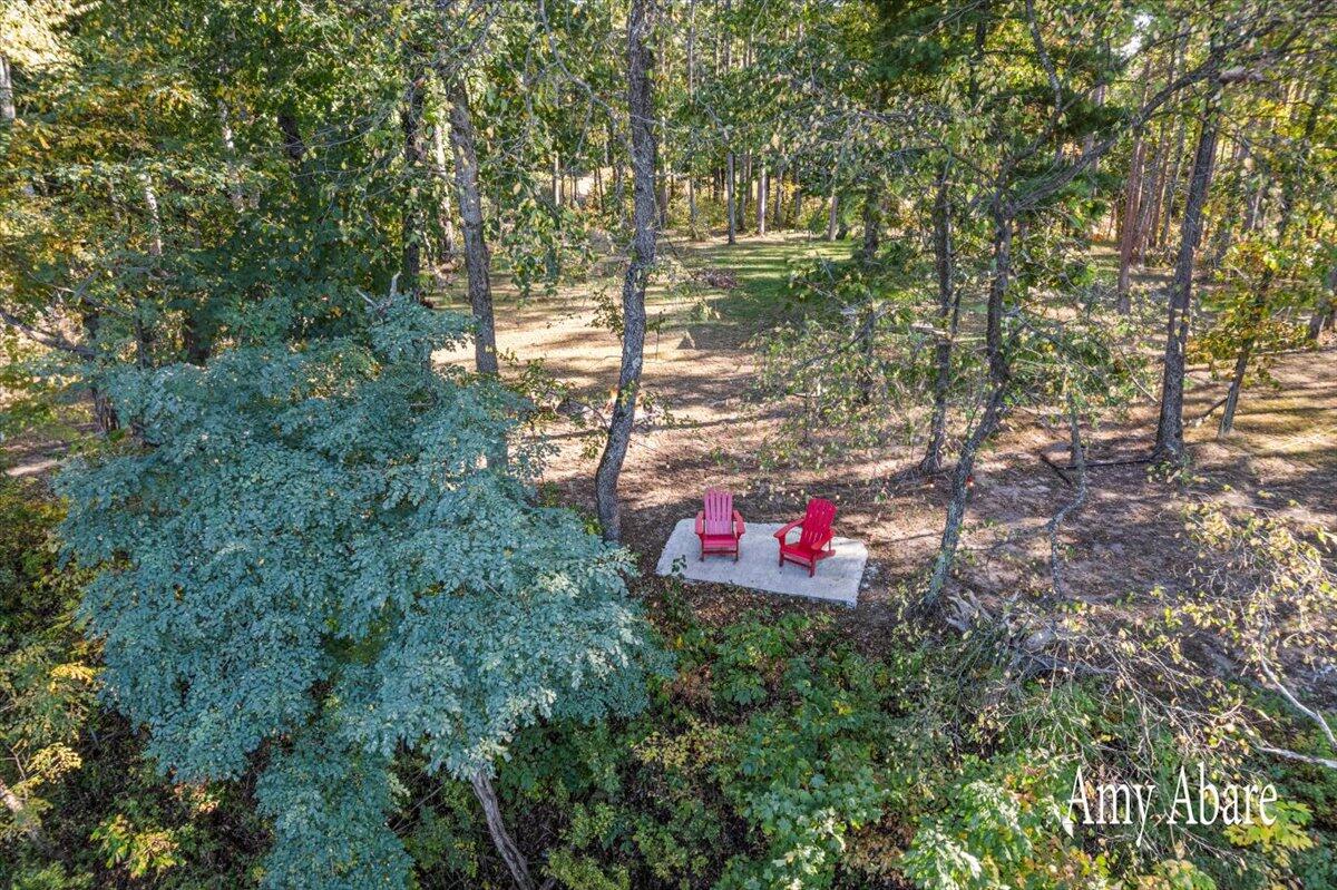 19768 Lincoln Road Stanwood, MI 49346 - Photo 21 of 21 15-DJI_0052