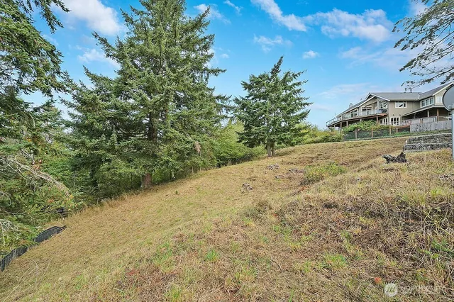 a view of a yard with plants and trees