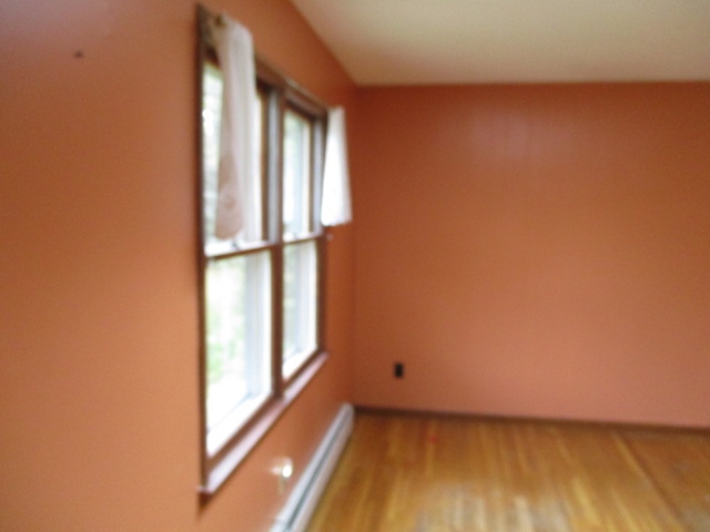 347 Village Road Wilmot, NH 03287 - Photo 2 of 12 Gallery Image 2