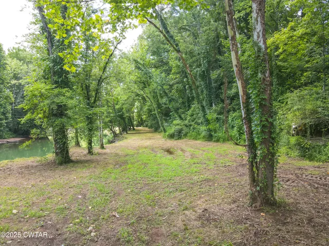 a view of a yard with a tree