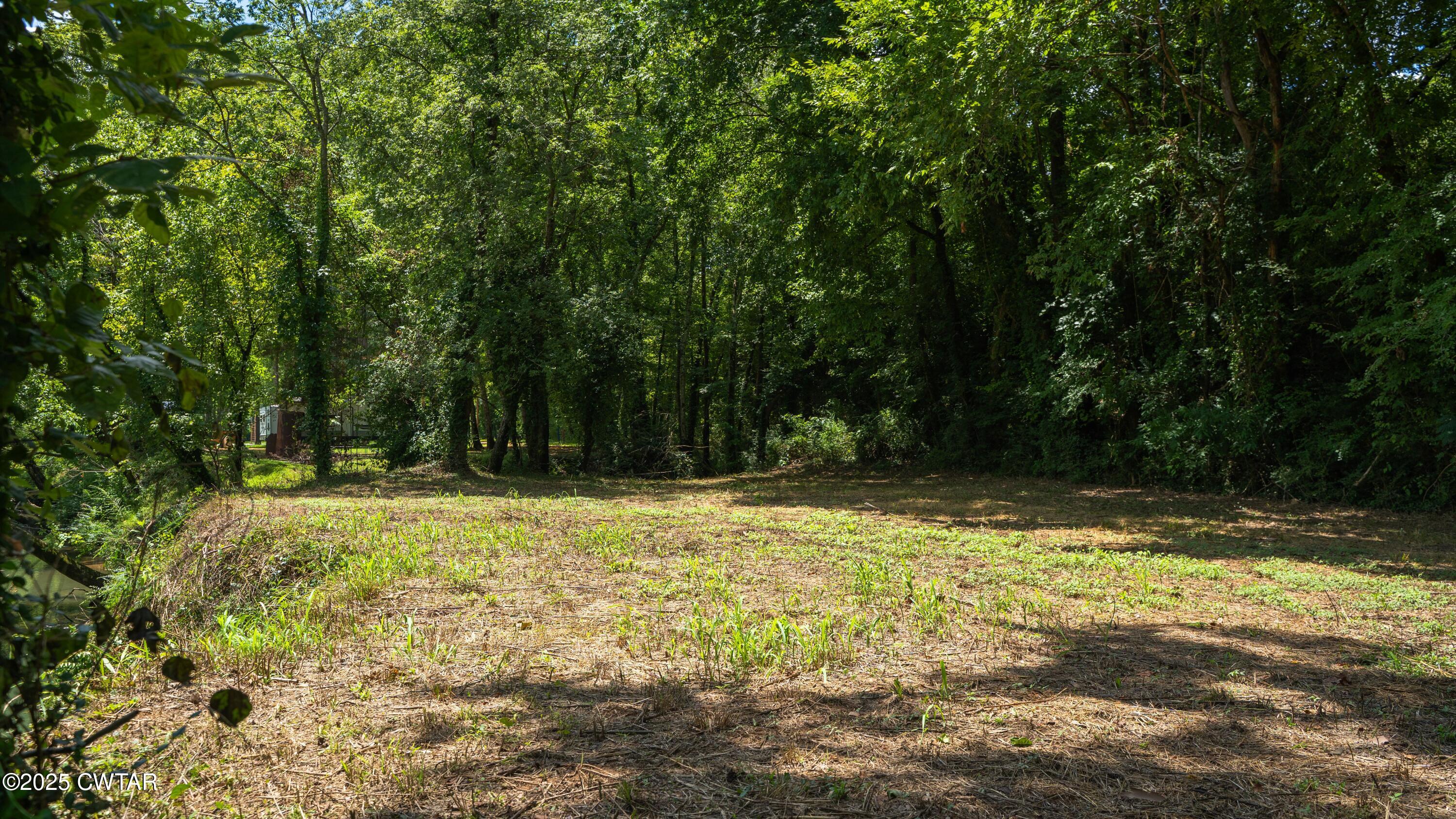 0 Us-412 Linden, TN 37096 - Photo 18 of 18 _DSC2019