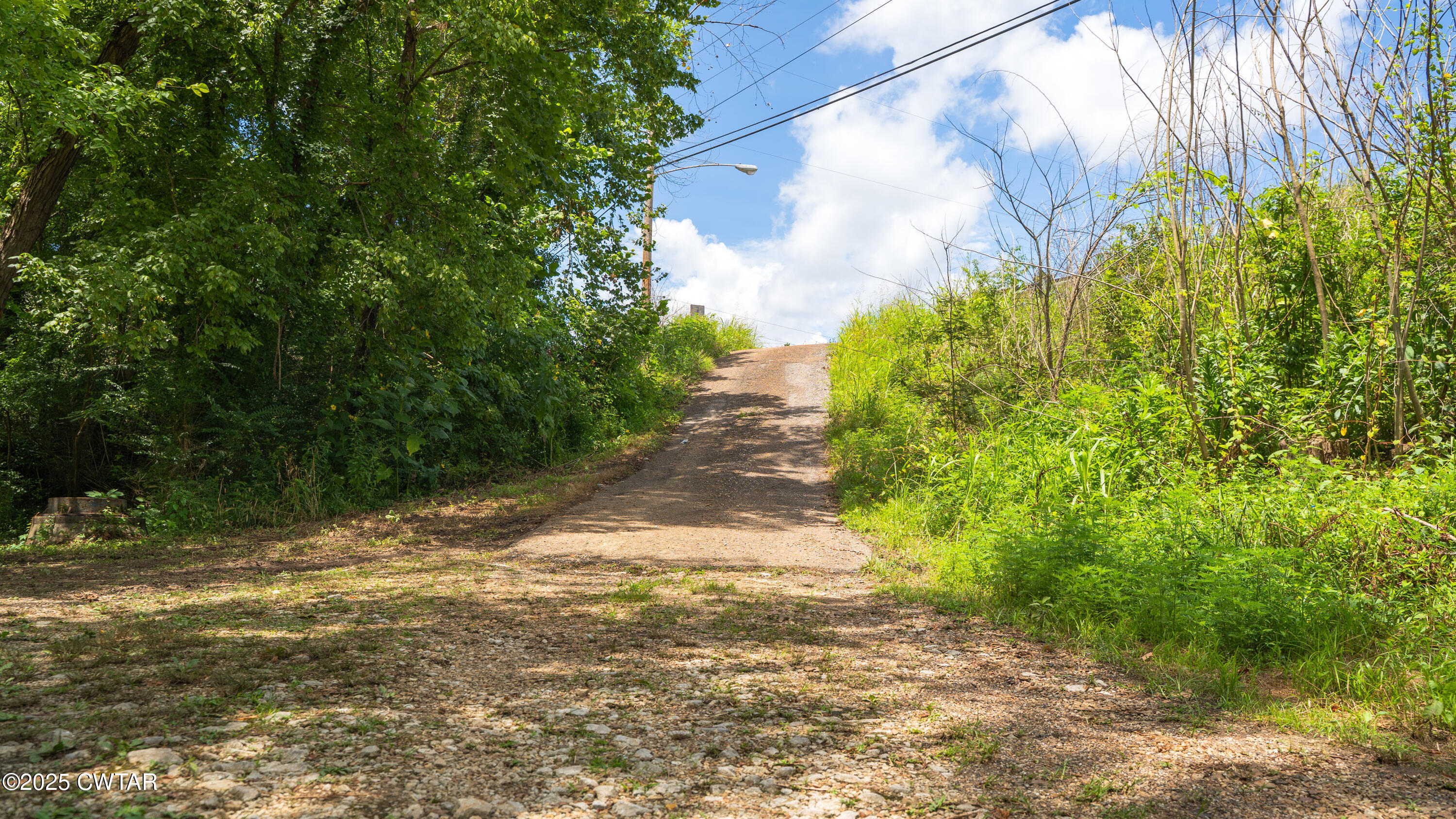 0 Us-412 Linden, TN 37096 - Photo 6 of 18 _DSC1941