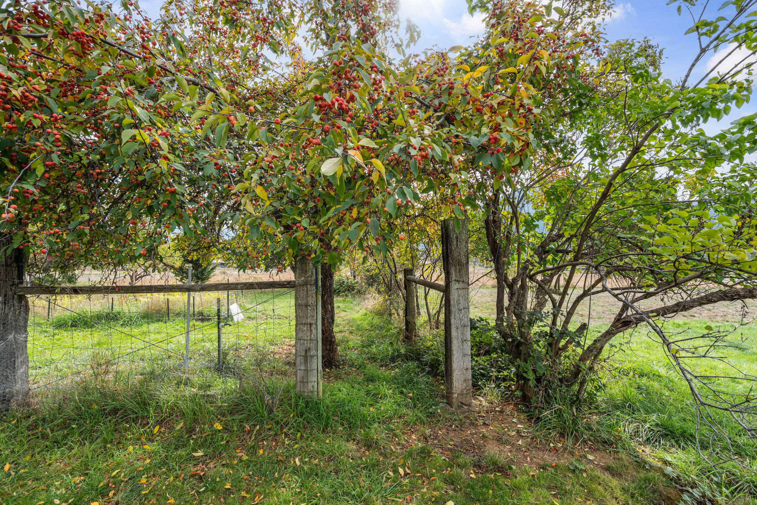 348 Ridgewood Drive Jacksonville, OR 97530 - Photo 35 of 55 348-ridgewood-dr (kassidy lowe)-38