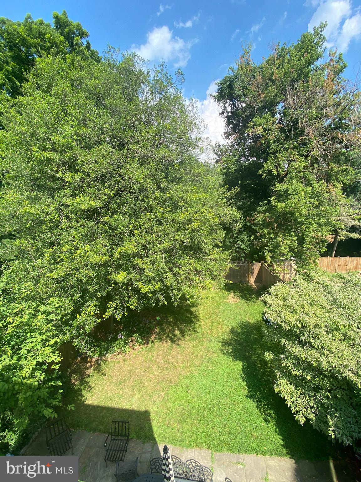 1417 44th Street Northwest Washington, DC 20007 - Photo 31 of 31 Backyard from the deck