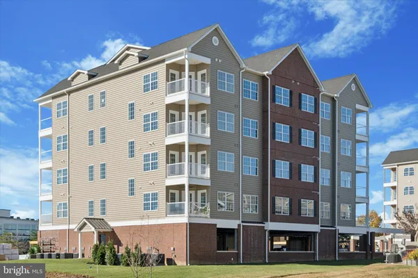 a street view with large trees
