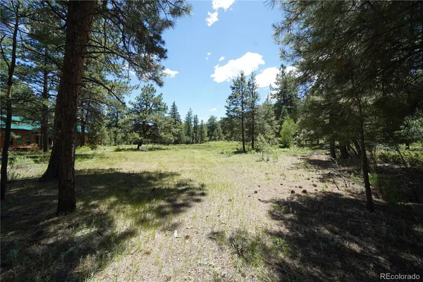 $65,000 | 136 Elk Meadow Run, Antonito, CO 81120