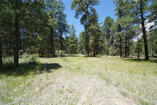 $65,000 | 136 Elk Meadow Run, Antonito, CO 81120
