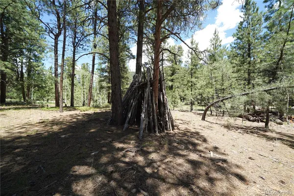 $65,000 | 136 Elk Meadow Run, Antonito, CO 81120