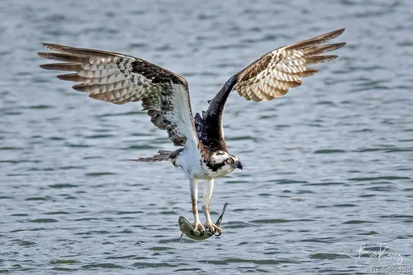 $65,000 | 136 Elk Meadow Run, Antonito, CO 81120