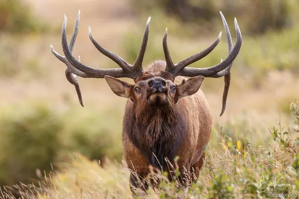 $65,000 | 136 Elk Meadow Run, Antonito, CO 81120