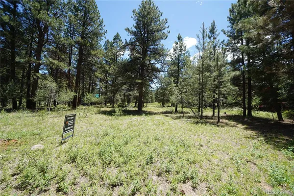 $65,000 | 136 Elk Meadow Run, Antonito, CO 81120
